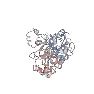 9254_6mus_F_v1-2
Cryo-EM structure of larger Csm-crRNA-target RNA ternary complex in type III-A CRISPR-Cas system