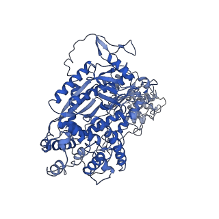 9255_6mut_A_v1-2
Cryo-EM structure of ternary Csm-crRNA-target RNA with anti-tag sequence complex in type III-A CRISPR-Cas system