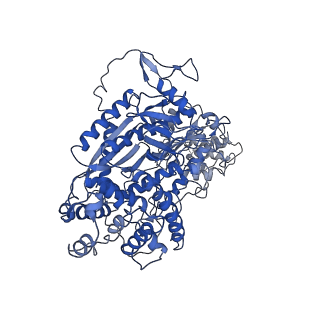 9255_6mut_A_v1-3
Cryo-EM structure of ternary Csm-crRNA-target RNA with anti-tag sequence complex in type III-A CRISPR-Cas system