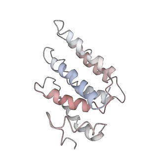 9255_6mut_B_v1-2
Cryo-EM structure of ternary Csm-crRNA-target RNA with anti-tag sequence complex in type III-A CRISPR-Cas system