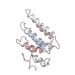 9255_6mut_B_v1-3
Cryo-EM structure of ternary Csm-crRNA-target RNA with anti-tag sequence complex in type III-A CRISPR-Cas system