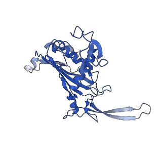 9255_6mut_C_v1-2
Cryo-EM structure of ternary Csm-crRNA-target RNA with anti-tag sequence complex in type III-A CRISPR-Cas system