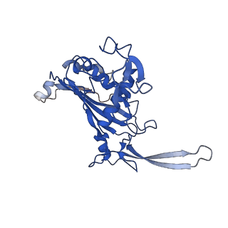 9255_6mut_C_v1-3
Cryo-EM structure of ternary Csm-crRNA-target RNA with anti-tag sequence complex in type III-A CRISPR-Cas system