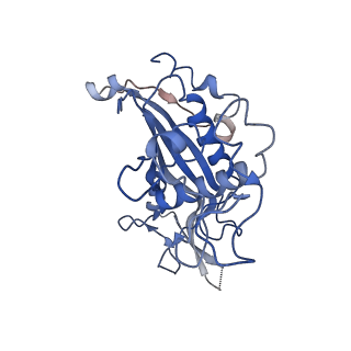 9255_6mut_D_v1-2
Cryo-EM structure of ternary Csm-crRNA-target RNA with anti-tag sequence complex in type III-A CRISPR-Cas system