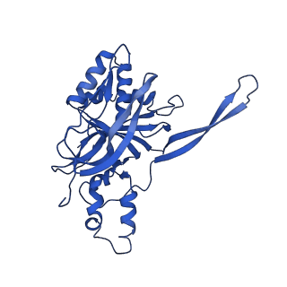 9255_6mut_E_v1-2
Cryo-EM structure of ternary Csm-crRNA-target RNA with anti-tag sequence complex in type III-A CRISPR-Cas system