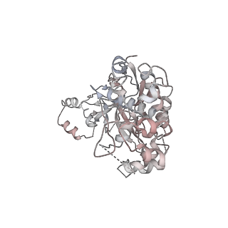 9255_6mut_F_v1-2
Cryo-EM structure of ternary Csm-crRNA-target RNA with anti-tag sequence complex in type III-A CRISPR-Cas system