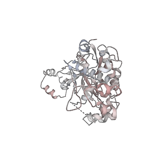 9255_6mut_F_v1-3
Cryo-EM structure of ternary Csm-crRNA-target RNA with anti-tag sequence complex in type III-A CRISPR-Cas system