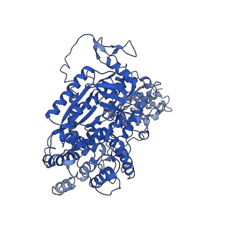 9256_6muu_A_v1-1
Cryo-EM structure of Csm-crRNA binary complex in type III-A CRISPR-Cas system