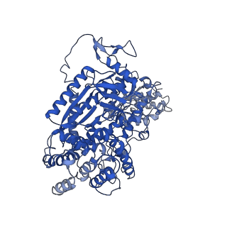 9256_6muu_A_v1-2
Cryo-EM structure of Csm-crRNA binary complex in type III-A CRISPR-Cas system