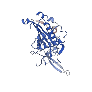 9256_6muu_D_v1-1
Cryo-EM structure of Csm-crRNA binary complex in type III-A CRISPR-Cas system