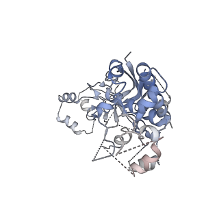 9256_6muu_F_v1-1
Cryo-EM structure of Csm-crRNA binary complex in type III-A CRISPR-Cas system