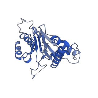 9257_6muv_A_v1-3
The structure of the Plasmodium falciparum 20S proteasome in complex with two PA28 activators