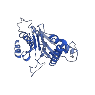 9257_6muv_A_v1-4
The structure of the Plasmodium falciparum 20S proteasome in complex with two PA28 activators