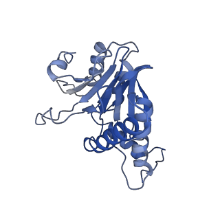 9257_6muv_B_v1-3
The structure of the Plasmodium falciparum 20S proteasome in complex with two PA28 activators