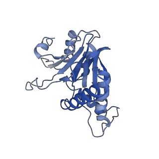 9257_6muv_B_v1-4
The structure of the Plasmodium falciparum 20S proteasome in complex with two PA28 activators