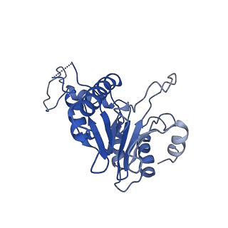 9257_6muv_E_v1-4
The structure of the Plasmodium falciparum 20S proteasome in complex with two PA28 activators