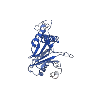 9257_6muv_F_v1-3
The structure of the Plasmodium falciparum 20S proteasome in complex with two PA28 activators