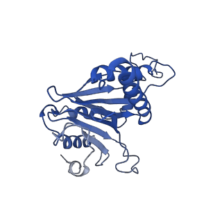 9257_6muv_G_v1-4
The structure of the Plasmodium falciparum 20S proteasome in complex with two PA28 activators