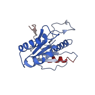 9257_6muv_H_v1-4
The structure of the Plasmodium falciparum 20S proteasome in complex with two PA28 activators