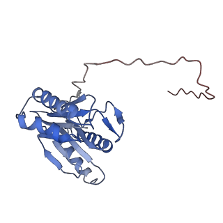 9257_6muv_I_v1-4
The structure of the Plasmodium falciparum 20S proteasome in complex with two PA28 activators