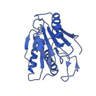 9257_6muv_J_v1-4
The structure of the Plasmodium falciparum 20S proteasome in complex with two PA28 activators