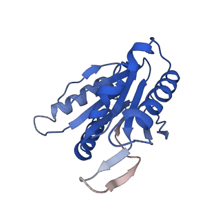 9257_6muv_K_v1-4
The structure of the Plasmodium falciparum 20S proteasome in complex with two PA28 activators