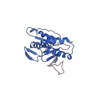 9257_6muv_L_v1-3
The structure of the Plasmodium falciparum 20S proteasome in complex with two PA28 activators