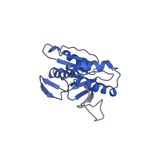 9257_6muv_L_v1-4
The structure of the Plasmodium falciparum 20S proteasome in complex with two PA28 activators