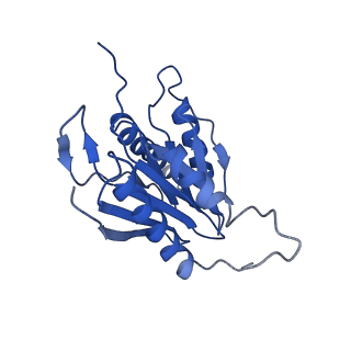 9257_6muv_M_v1-3
The structure of the Plasmodium falciparum 20S proteasome in complex with two PA28 activators