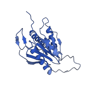 9257_6muv_M_v1-4
The structure of the Plasmodium falciparum 20S proteasome in complex with two PA28 activators