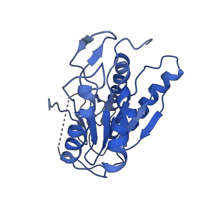 9257_6muv_N_v1-3
The structure of the Plasmodium falciparum 20S proteasome in complex with two PA28 activators