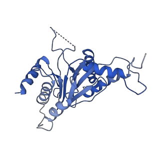 9257_6muv_O_v1-3
The structure of the Plasmodium falciparum 20S proteasome in complex with two PA28 activators