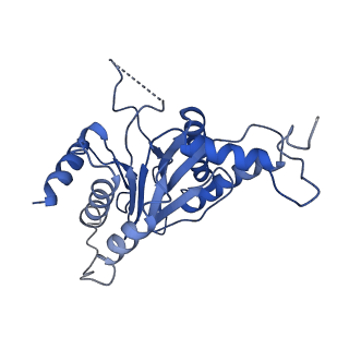 9257_6muv_O_v1-4
The structure of the Plasmodium falciparum 20S proteasome in complex with two PA28 activators