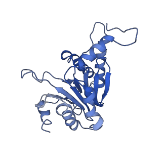 9257_6muv_P_v1-3
The structure of the Plasmodium falciparum 20S proteasome in complex with two PA28 activators