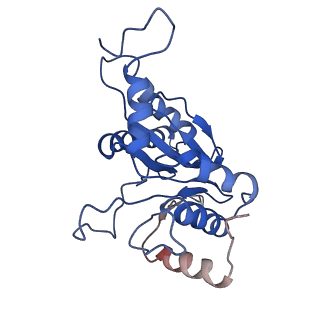 9257_6muv_Q_v1-3
The structure of the Plasmodium falciparum 20S proteasome in complex with two PA28 activators