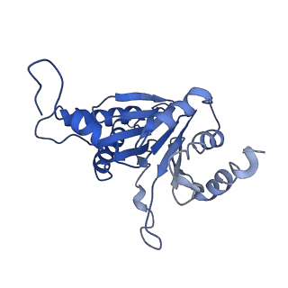 9257_6muv_R_v1-4
The structure of the Plasmodium falciparum 20S proteasome in complex with two PA28 activators