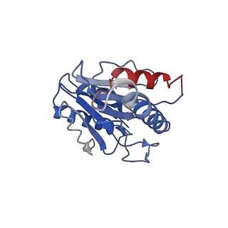 9257_6muv_V_v1-4
The structure of the Plasmodium falciparum 20S proteasome in complex with two PA28 activators