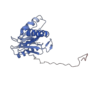 9257_6muv_W_v1-3
The structure of the Plasmodium falciparum 20S proteasome in complex with two PA28 activators