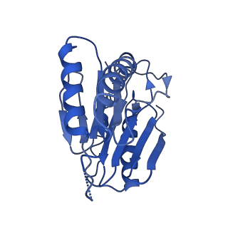 9257_6muv_X_v1-4
The structure of the Plasmodium falciparum 20S proteasome in complex with two PA28 activators