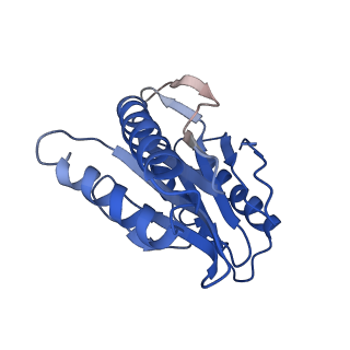 9257_6muv_Y_v1-3
The structure of the Plasmodium falciparum 20S proteasome in complex with two PA28 activators