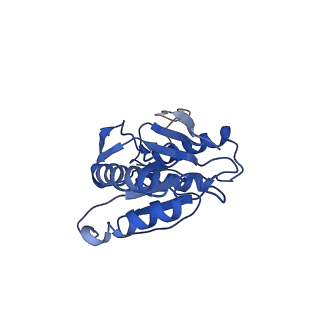 9257_6muv_Z_v1-4
The structure of the Plasmodium falciparum 20S proteasome in complex with two PA28 activators