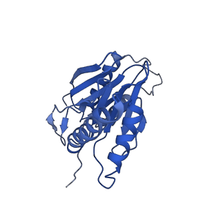 9257_6muv_a_v1-4
The structure of the Plasmodium falciparum 20S proteasome in complex with two PA28 activators