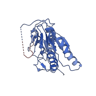 9257_6muv_b_v1-3
The structure of the Plasmodium falciparum 20S proteasome in complex with two PA28 activators
