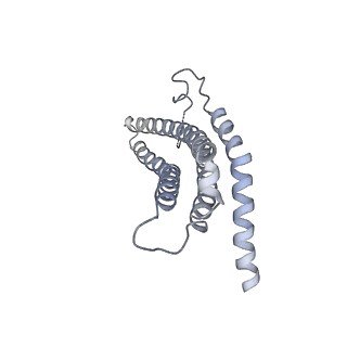 9257_6muv_c_v1-4
The structure of the Plasmodium falciparum 20S proteasome in complex with two PA28 activators