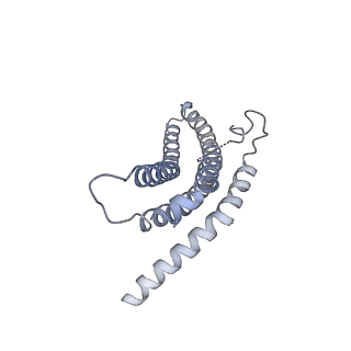 9257_6muv_d_v1-4
The structure of the Plasmodium falciparum 20S proteasome in complex with two PA28 activators