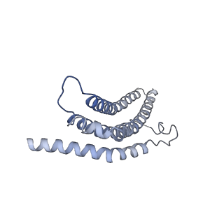 9257_6muv_e_v1-4
The structure of the Plasmodium falciparum 20S proteasome in complex with two PA28 activators