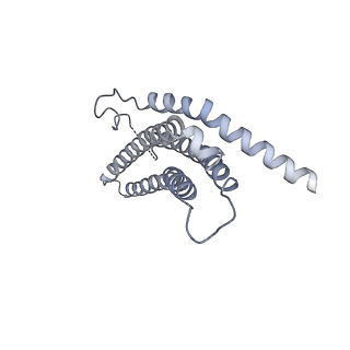 9257_6muv_i_v1-4
The structure of the Plasmodium falciparum 20S proteasome in complex with two PA28 activators