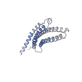 9257_6muv_j_v1-4
The structure of the Plasmodium falciparum 20S proteasome in complex with two PA28 activators