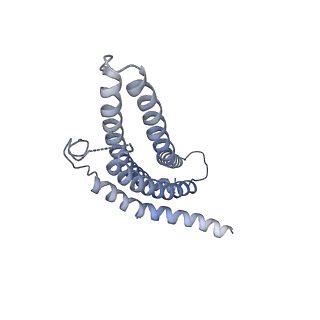 9257_6muv_l_v1-4
The structure of the Plasmodium falciparum 20S proteasome in complex with two PA28 activators