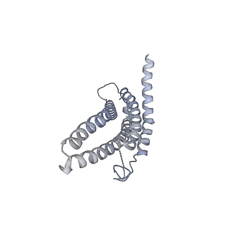9257_6muv_m_v1-3
The structure of the Plasmodium falciparum 20S proteasome in complex with two PA28 activators